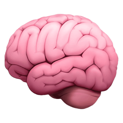 Brains - Your second brain